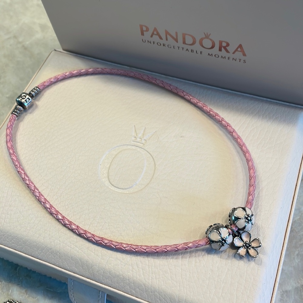 Pandora clips, pendant and braided necklace.